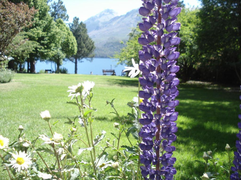 Lago Gutierrez Lodge San Carlos de Bariloche Exterior photo